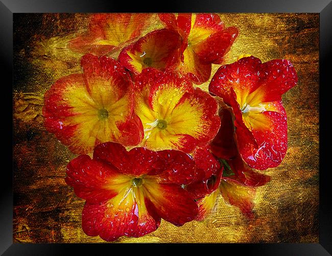 1414-red flowers Framed Print by elvira ladocki