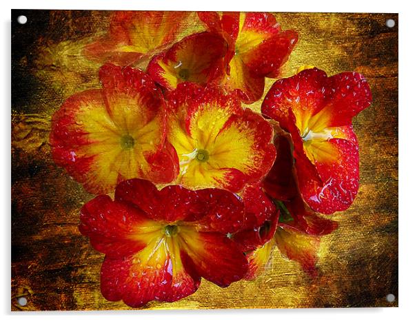 1414-red flowers Acrylic by elvira ladocki