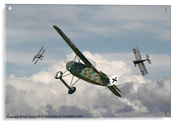 Fokker D VIII - Spoiled for Choice Acrylic by Pat Speirs