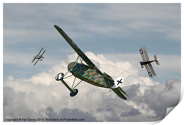 Fokker D VIII - Spoiled for Choice Print by Pat Speirs