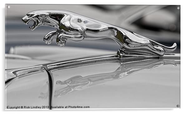 Jaguar Acrylic by Rick Lindley