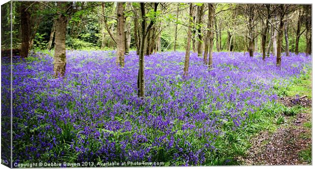Bluebell Woods Canvas Print by Lady Debra Bowers L.R.P.S