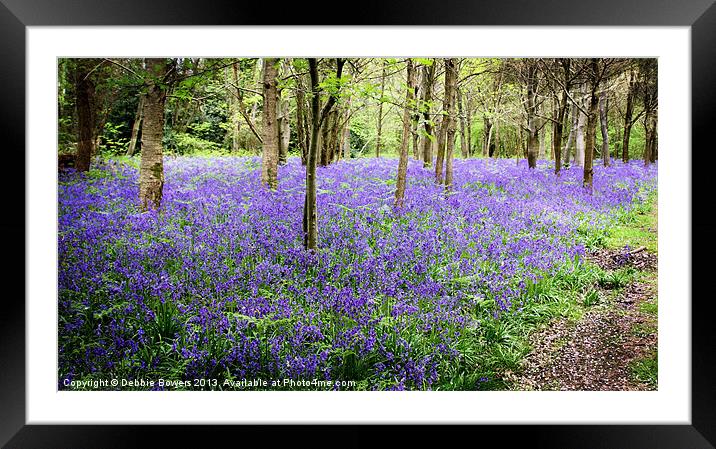 Bluebell Woods Framed Mounted Print by Lady Debra Bowers L.R.P.S