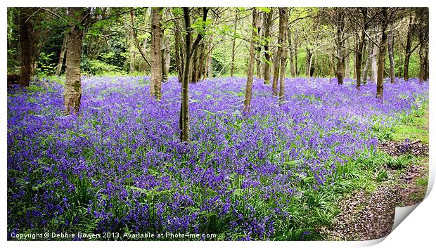 Bluebell Woods Print by Lady Debra Bowers L.R.P.S