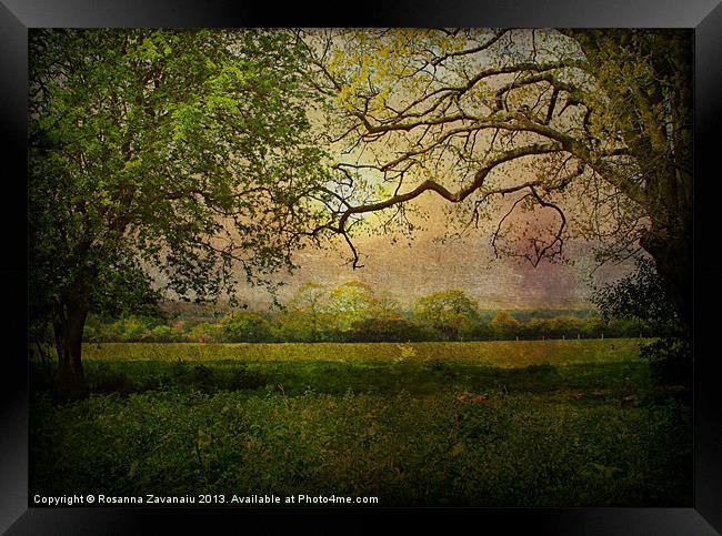 Rural Norfolk Sunset. Framed Print by Rosanna Zavanaiu