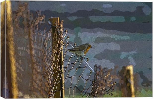 Robin on Wire Canvas Print by Bill Simpson