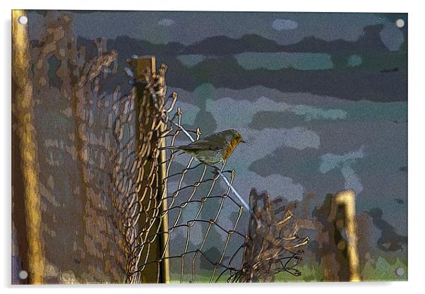 Robin on Wire Acrylic by Bill Simpson