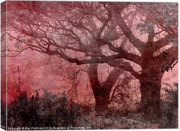 Textured Trees Canvas Print by Ray Pritchard