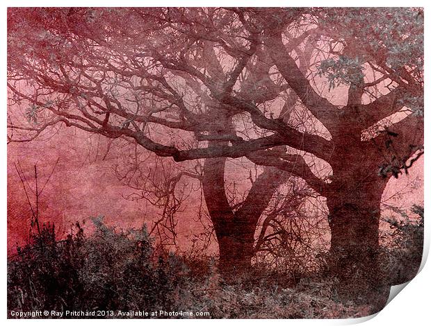 Textured Trees Print by Ray Pritchard