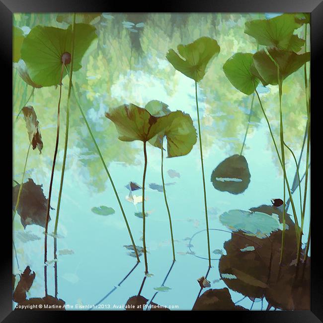 The Lotus pond Framed Print by Martine Affre Eisenlohr
