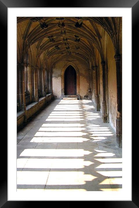 Cloisters  Framed Mounted Print by Alan Pickersgill