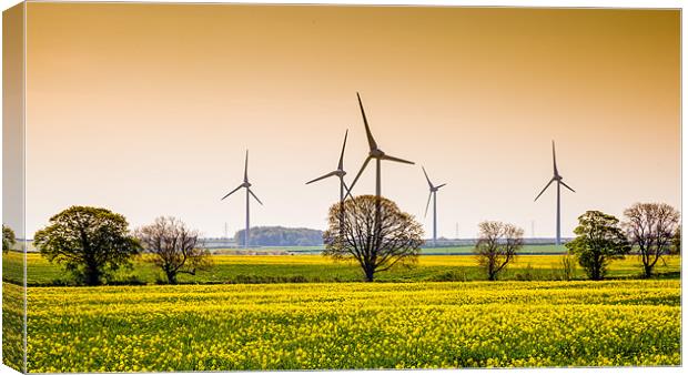 Wind Farm Canvas Print by David Tyrer