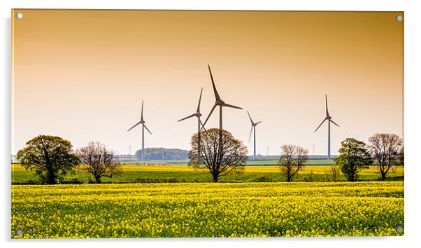 Wind Farm Acrylic by David Tyrer