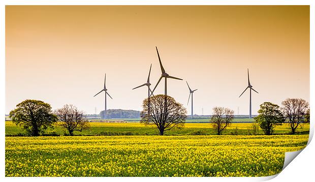 Wind Farm Print by David Tyrer