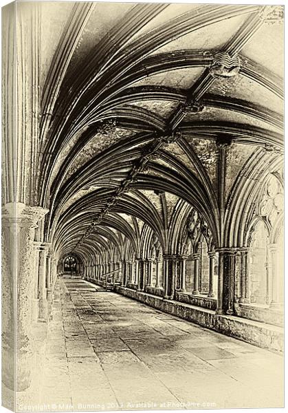 Norwich cloisters Canvas Print by Mark Bunning