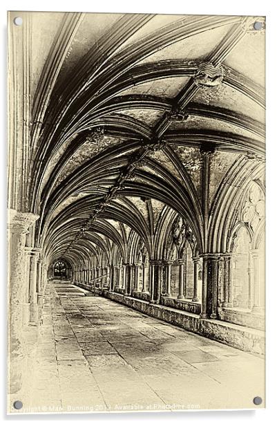 Norwich cloisters Acrylic by Mark Bunning