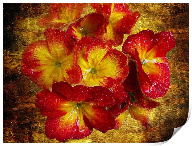 1414-red flowers Print by elvira ladocki