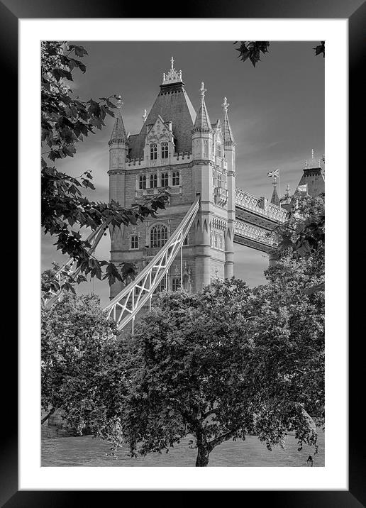 Tower Bridge Framed Mounted Print by David Tyrer