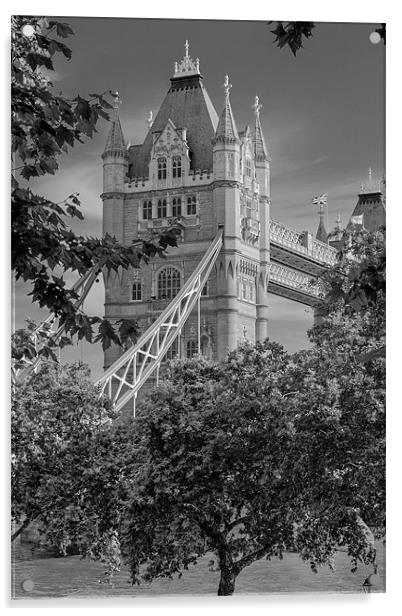 Tower Bridge Acrylic by David Tyrer
