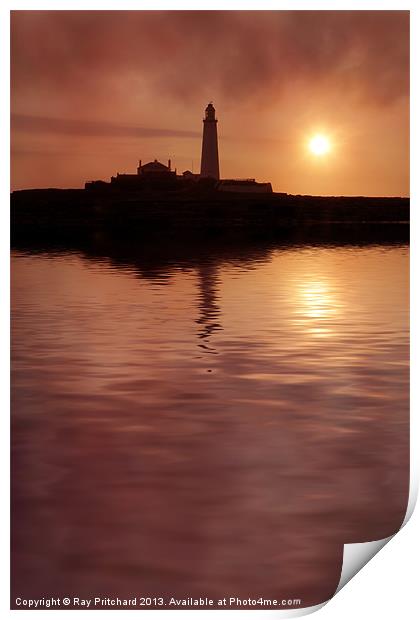 St Marys Lighthouse Print by Ray Pritchard
