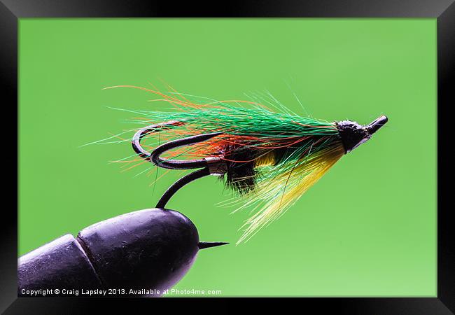 Salmon fly in vice Framed Print by Craig Lapsley