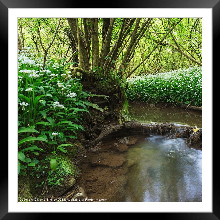 Flowers by the Stream Framed Mounted Print by David Tinsley