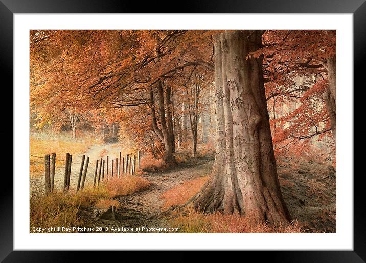 Ousbrough Woods Texturised Framed Mounted Print by Ray Pritchard