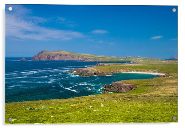 Captivating Clogher Head Vista Acrylic by David Tyrer