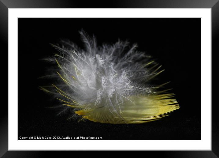 Feather warmth Framed Mounted Print by Mark Cake