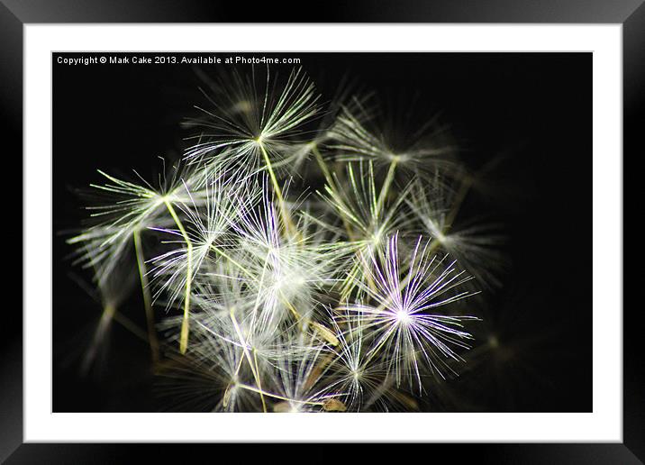 Firework seeds Framed Mounted Print by Mark Cake