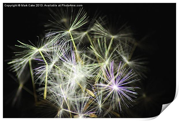 Firework seeds Print by Mark Cake
