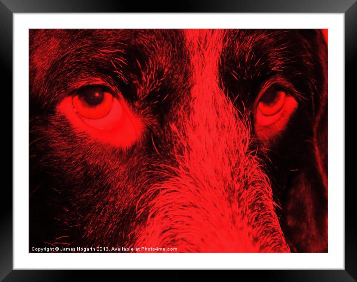 Look Into My Eyes Framed Mounted Print by James Hogarth