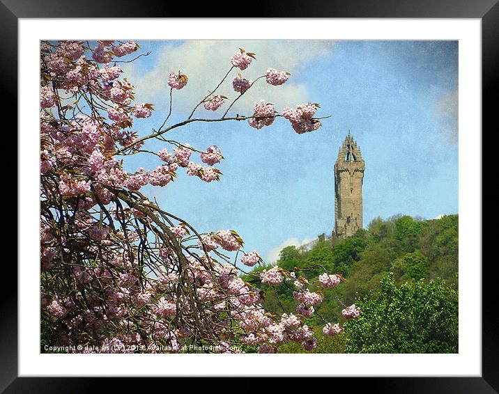 wallace monument5 Framed Mounted Print by dale rys (LP)