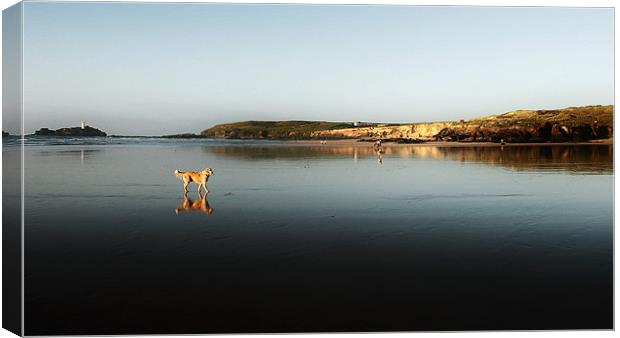 Reflections on Godrevy beach Canvas Print by Gary Pearson