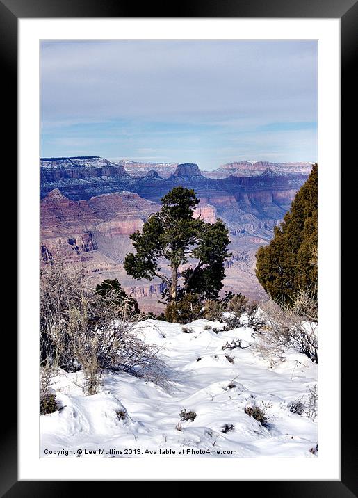 Winter at the Grand Canyon Framed Mounted Print by Lee Mullins