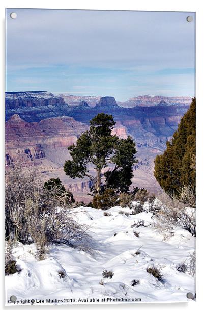 Winter at the Grand Canyon Acrylic by Lee Mullins