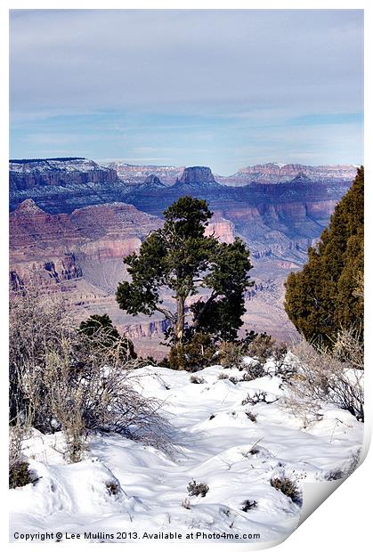 Winter at the Grand Canyon Print by Lee Mullins