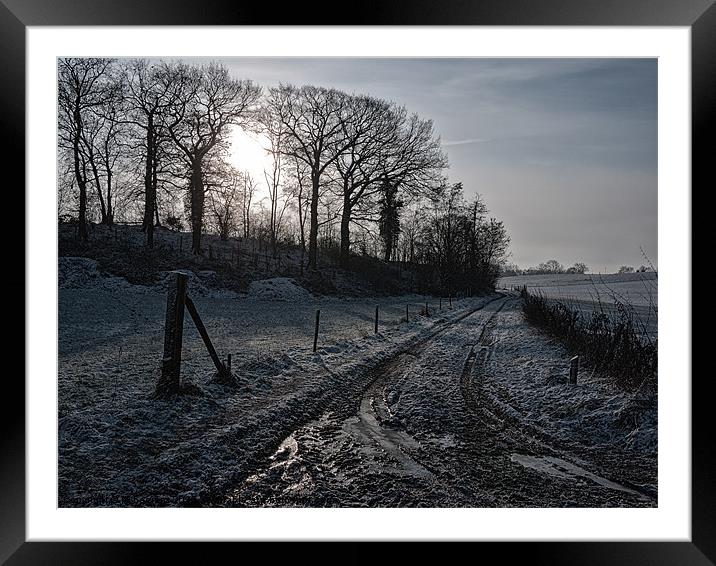 winter trail Framed Mounted Print by Jo Beerens