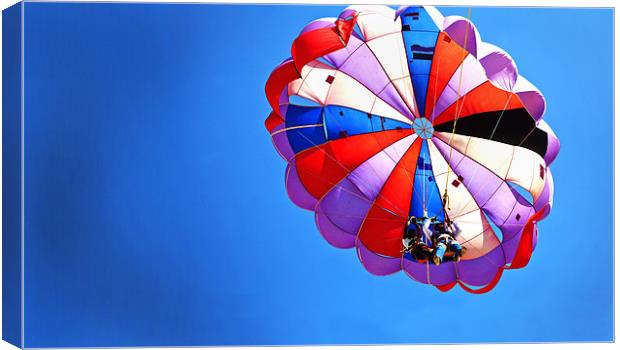 Patched up para Gliders Canvas Print by Arfabita  