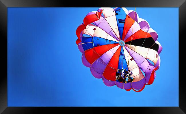Patched up para Gliders Framed Print by Arfabita  