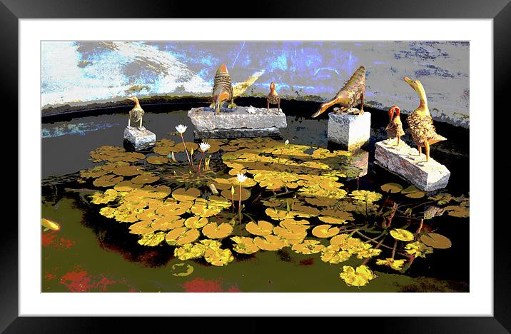 Little Fishy come to Ducky Framed Mounted Print by Arfabita  