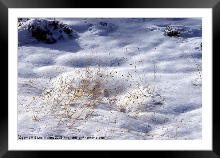 Grass in the snow Framed Mounted Print by Lee Mullins