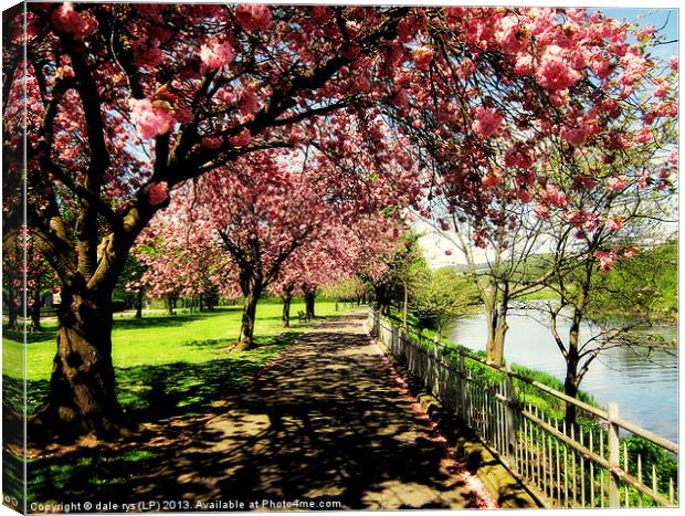 along the river forth-stirling Canvas Print by dale rys (LP)