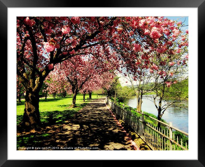 along the river forth-stirling Framed Mounted Print by dale rys (LP)