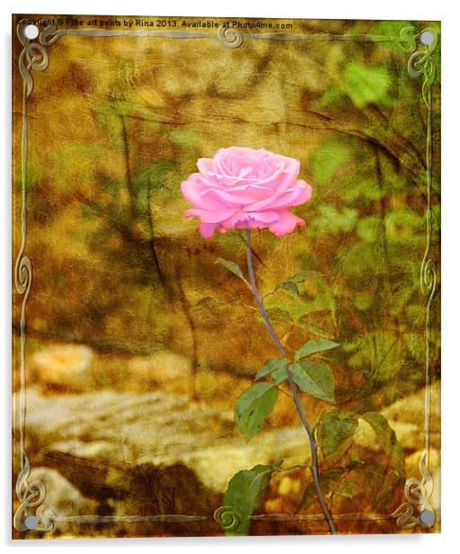 Le Rose Acrylic by Fine art by Rina