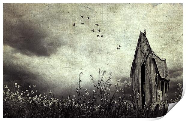 The Witches House Print by Dawn Cox