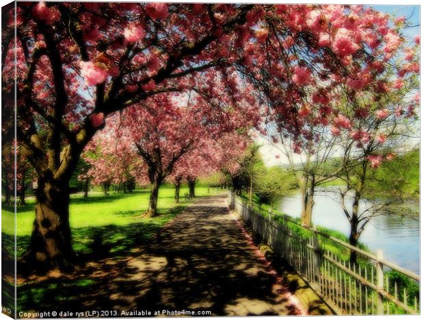 stirling forth river Canvas Print by dale rys (LP)