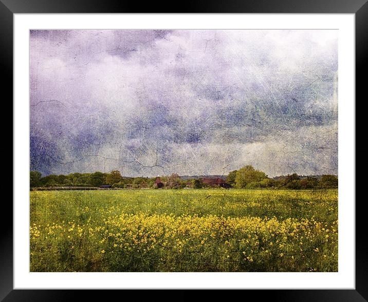 Over the Fields Framed Mounted Print by Dawn Cox
