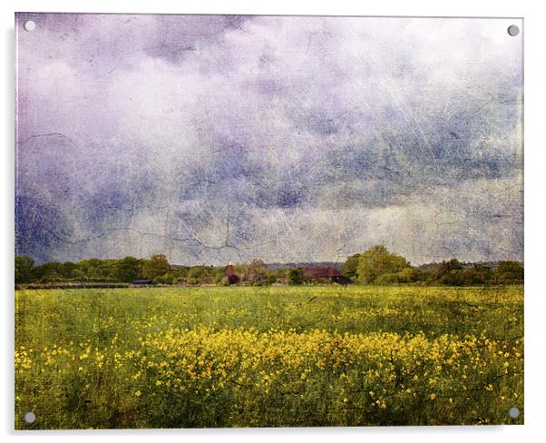 Over the Fields Acrylic by Dawn Cox