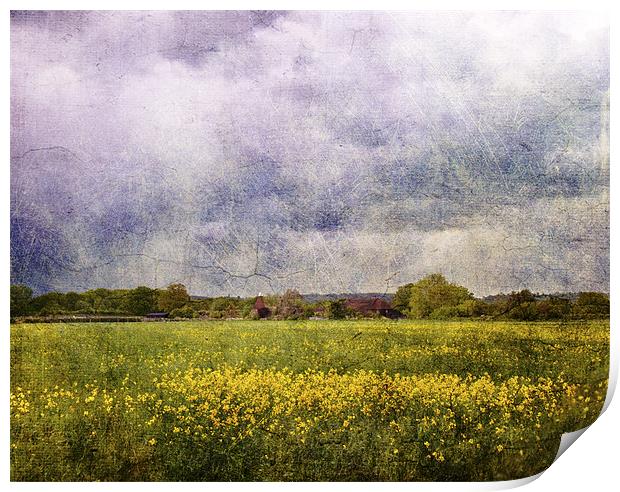 Over the Fields Print by Dawn Cox